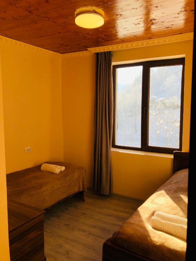 River Side Svaneti Mestia Dış mekan fotoğraf