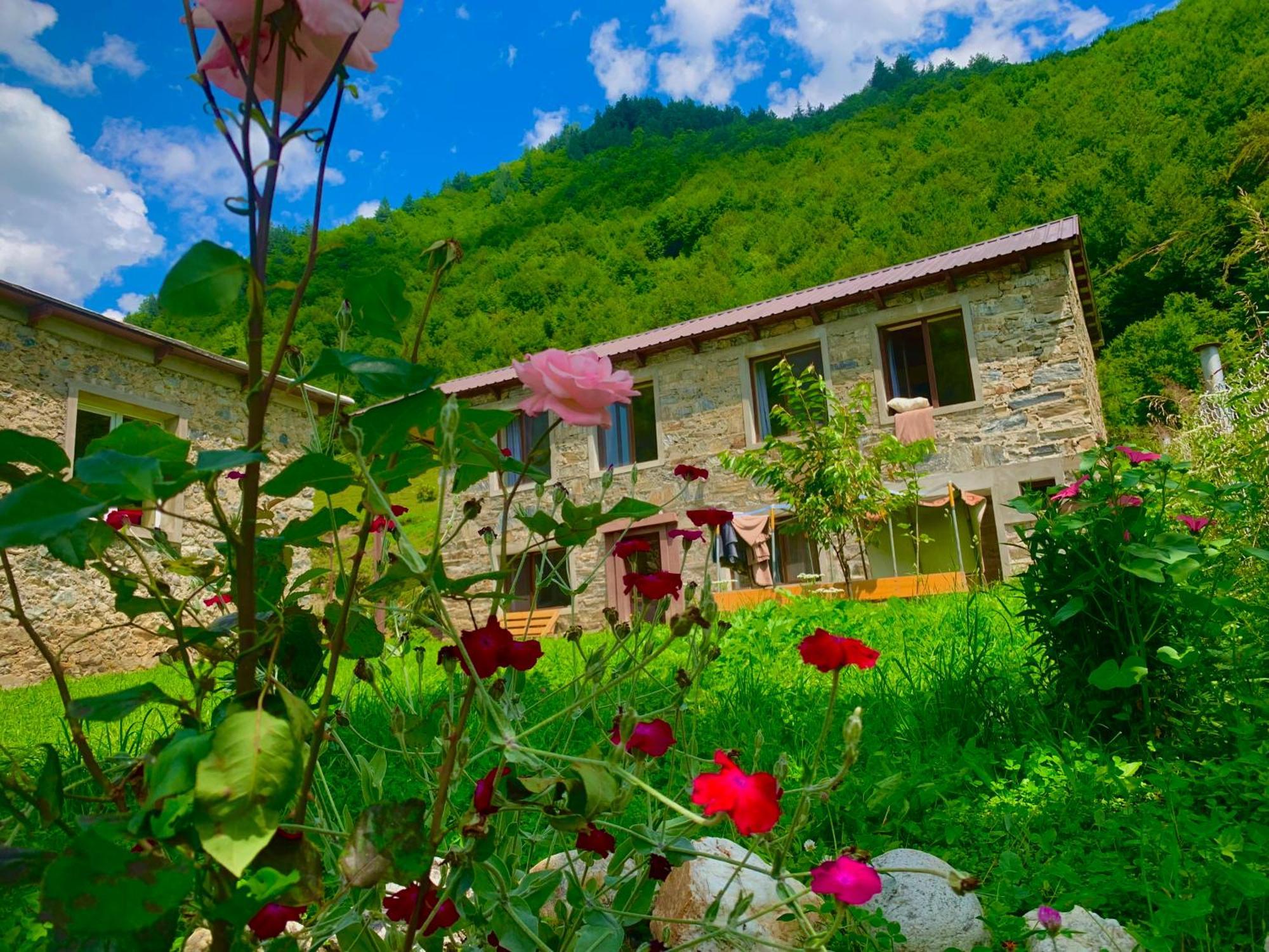 River Side Svaneti Mestia Dış mekan fotoğraf