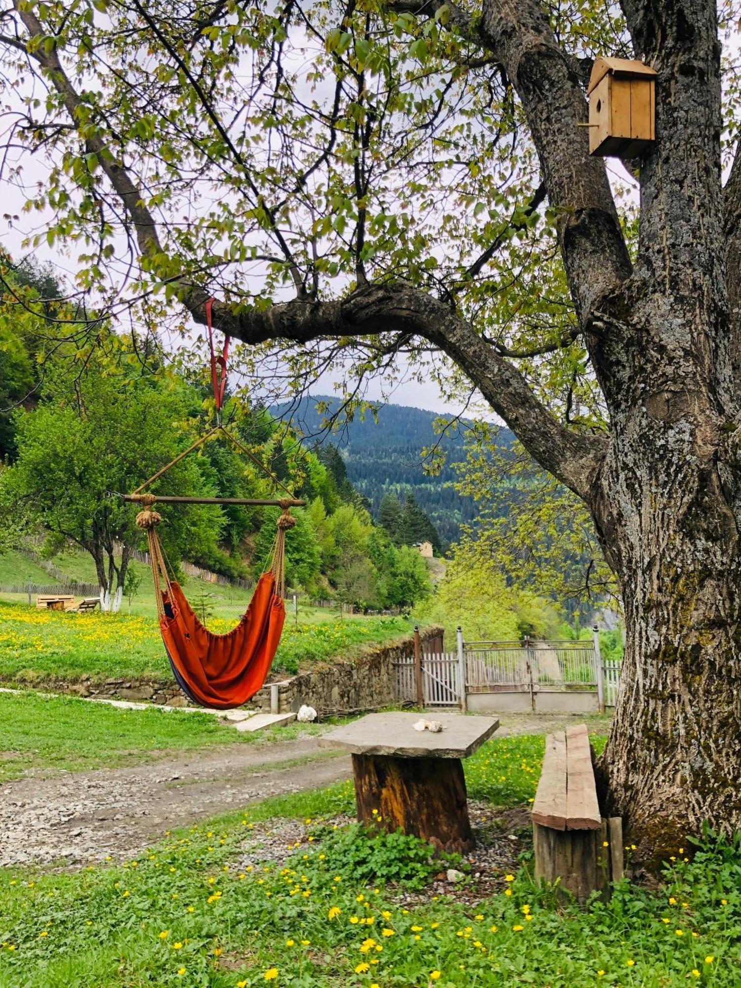 River Side Svaneti Mestia Dış mekan fotoğraf